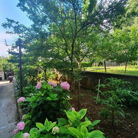Διαμέρισμα Peaceful 30 Meters From Sea!